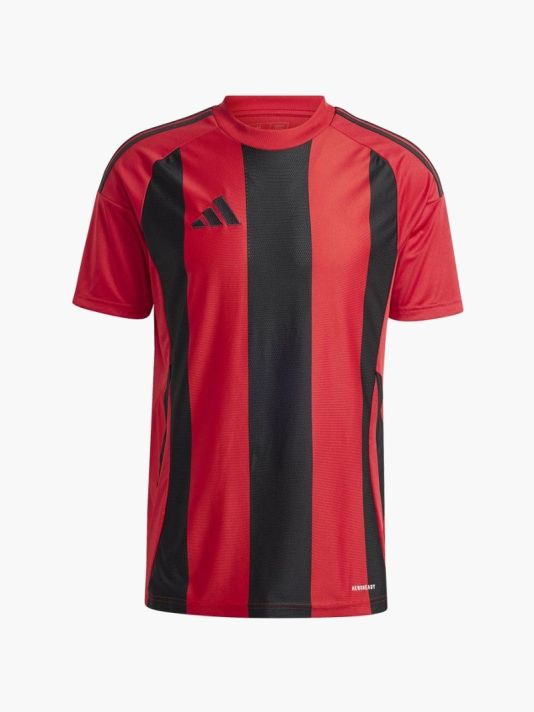 Adidas Striped 24 JSY M T-shirt IW4556