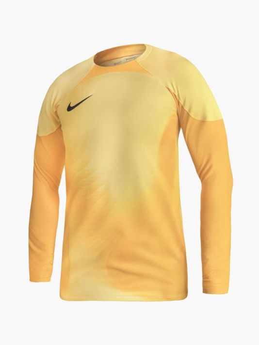 Nike Gardien IV Goalkeeper JSY M DH7967 719
