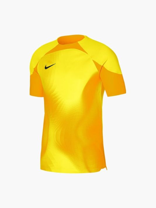 Nike Dri-FIT ADV Gardien 4 M Goalkeeper Jersey DH7760-719