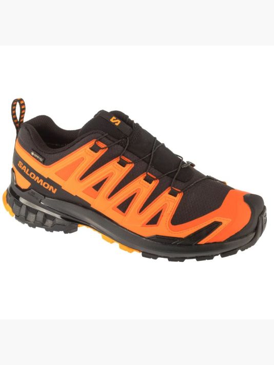 Salomon XA Pro 3D v9 GTX M L47961000 Running Shoes