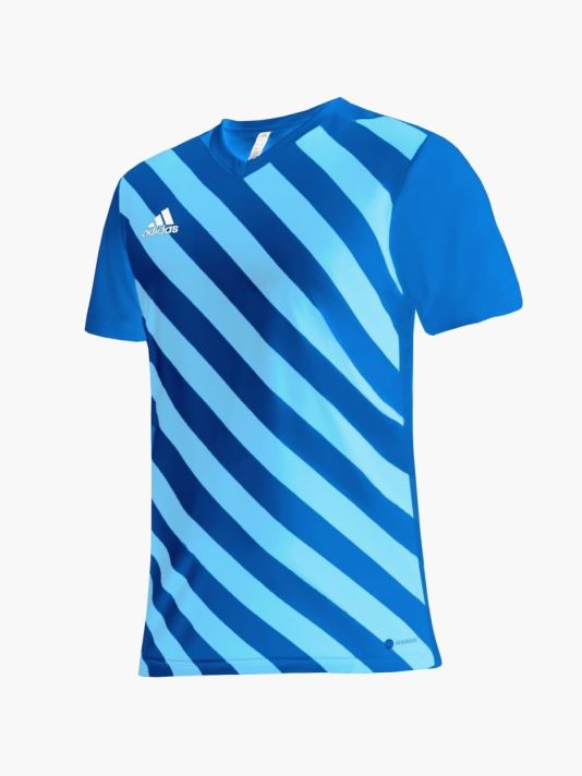 adidas Entrada 22 Graphic Jersey M HF0116