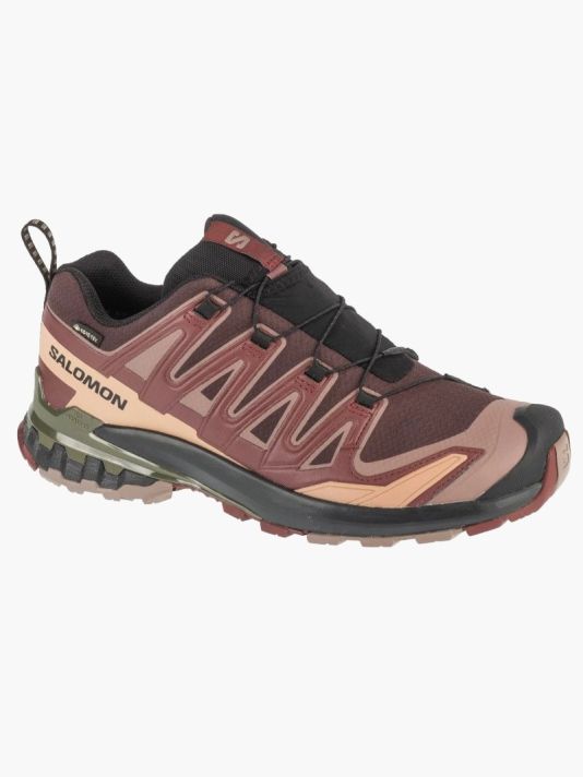 Salomon XA Pro 3D v9 GTX M L47583500 Running Shoes