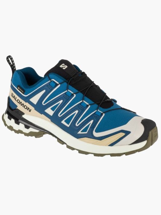 Salomon XA Pro 3D v9 GTX M L47817400 Running Shoes