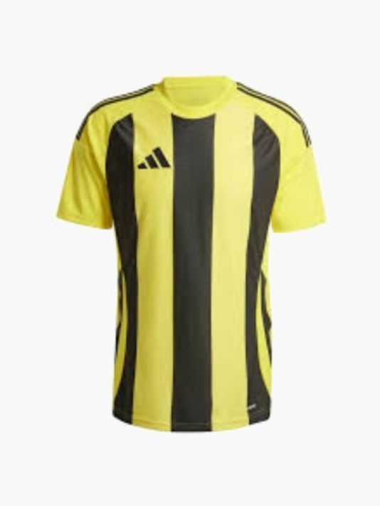 Adidas Striped 24 JSY M T-shirt IW2146