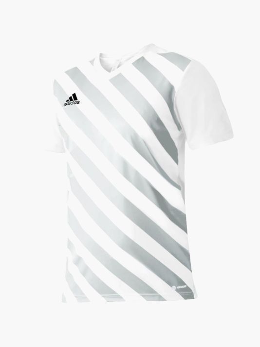 adidas Entrada 22 Graphic Jersey M HF0129