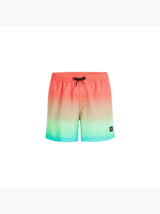 O'Neill Jack Cali Gradient 15'' Swim Shorts M 92800613575