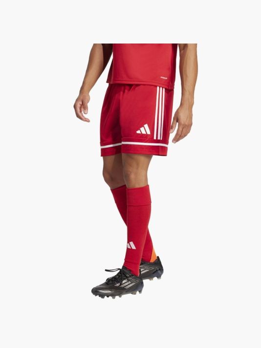 adidas Squadra M 25 Short JN5466 football shorts
