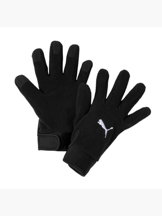 Puma teamLiga 21 Winter Gloves M 041706-01