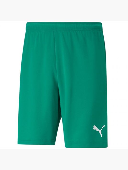 Puma teamRISE Shorts M 704942 05