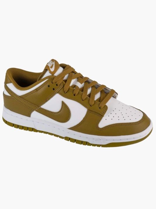 Nike Dunk Low Retro M DV0833-105 shoes