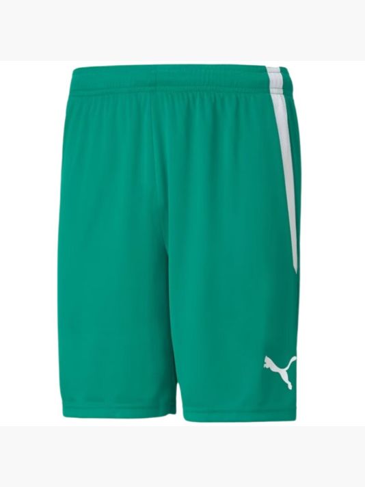 Puma teamLiga M 704924 05 shorts