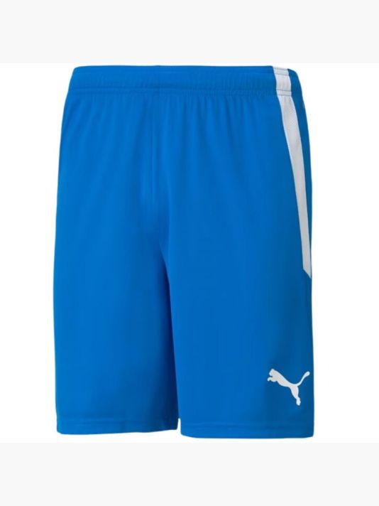 Puma teamLIGA M 704924 02 shorts