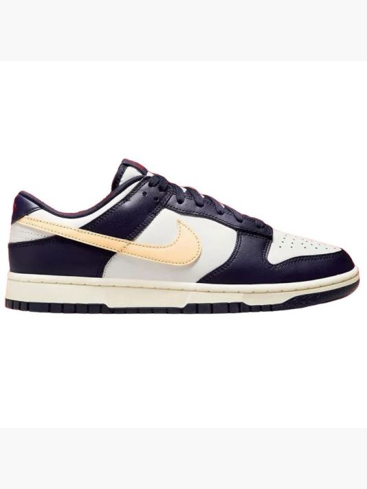 Nike Men's Dunk Low Retro Shoes FV8106-181