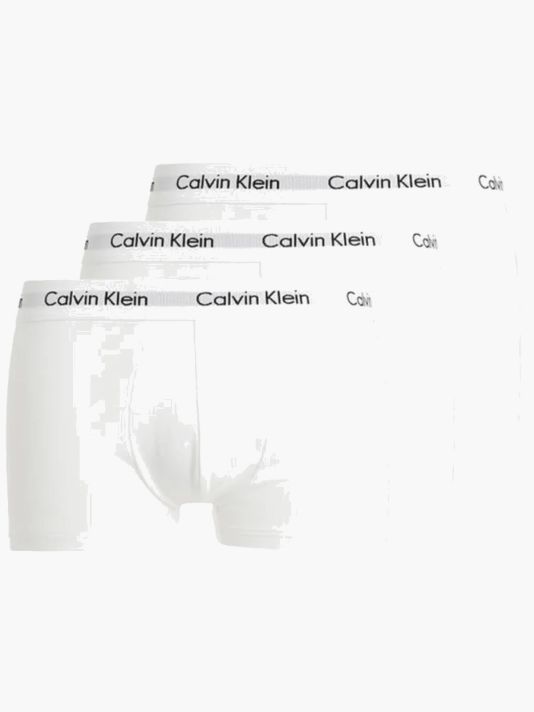 Calvin Klein aluspesu Meeste aluspesu