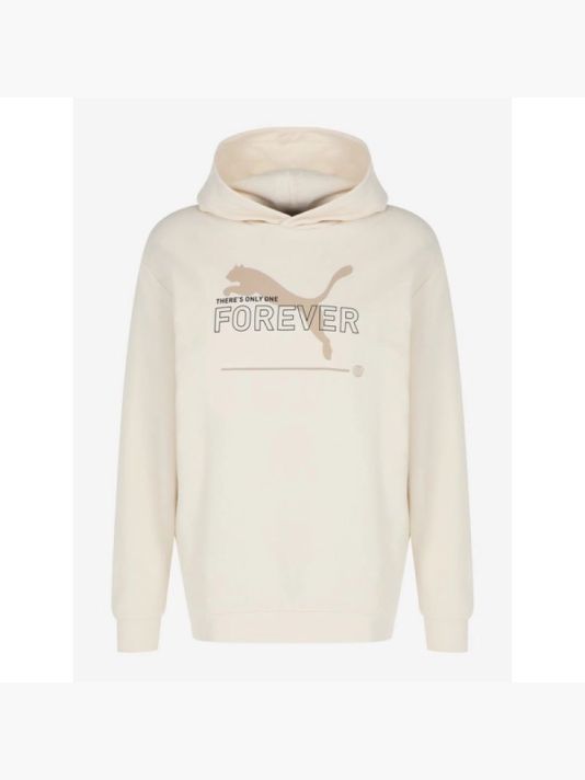 Puma FD Ess Btr M sweatshirt 673293 99