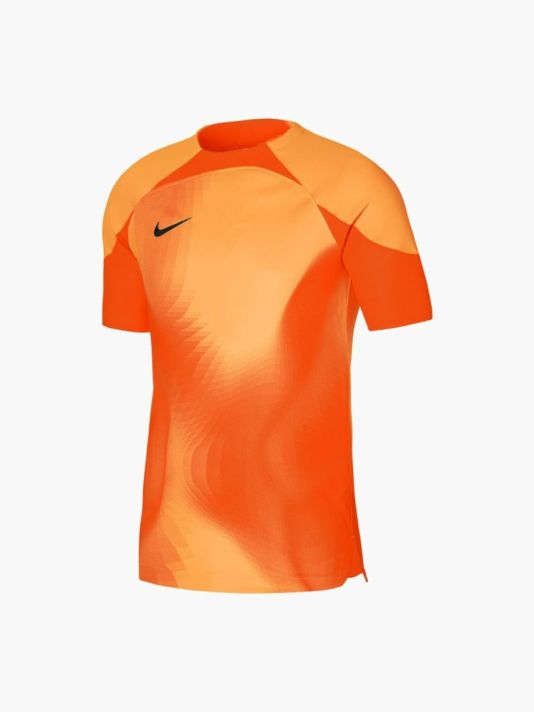 Nike Dri-FIT ADV Gardien 4 M Goalkeeper Jersey DH7760-819