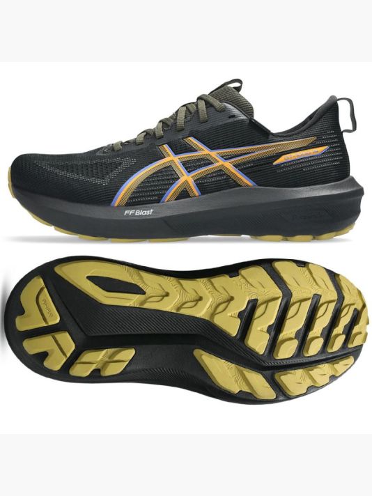 Asics GT-1000 14 GTX M 1011C078 001 Running Shoes