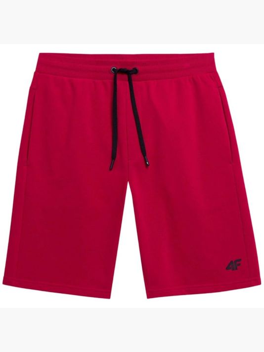 Shorts 4F M156 M 4FSS23TSHOM156 62S