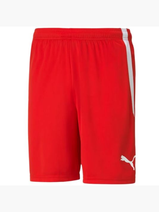 Puma teamLIGA M 704924 01 shorts