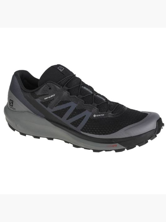 Salomon Sense Ride 4 GTX M 413071 shoes