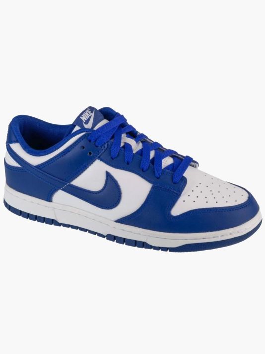 Nike Dunk Low Retro M DV0833-103 shoes