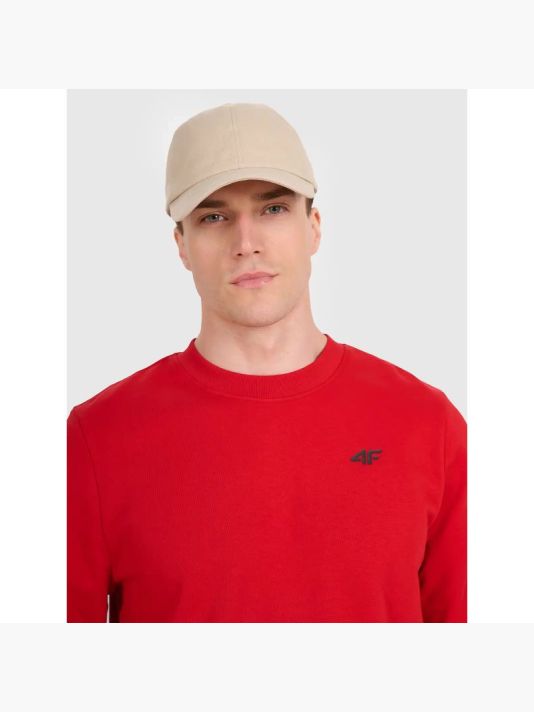 Men's sweatshirt without zipper, without hood, 4F 4FWMM00TSWSM1767-062S