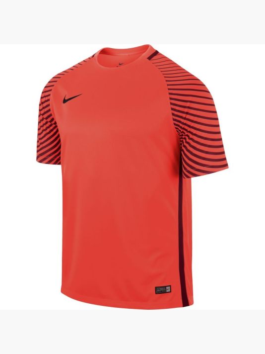 Nike Gardien M 725889-671 Goalkeeper Shirt