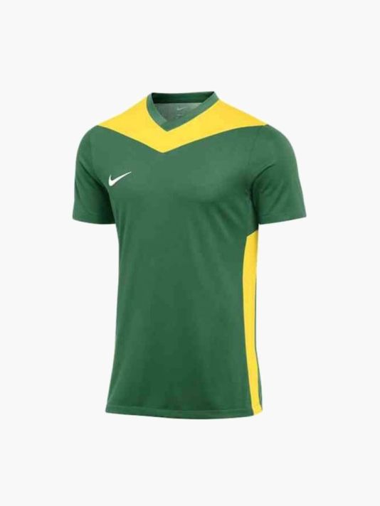 Nike Dri-FIT Park Derby IV M FD7430-303 T-shirt