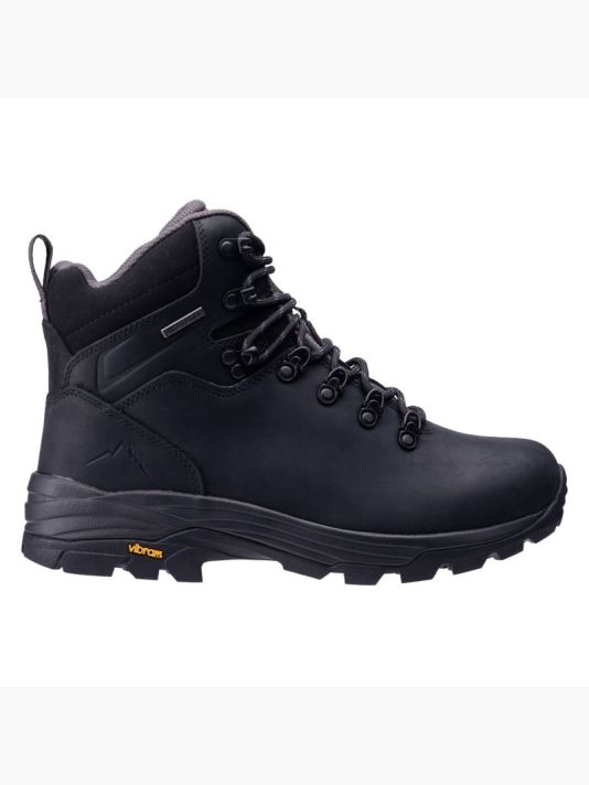 Men's ALPINER MID V WP Shoes