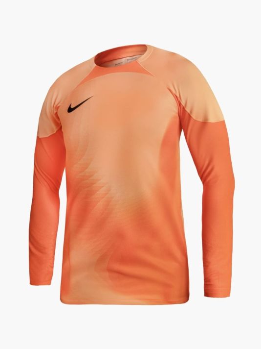 Nike Gardien IV Goalkeeper JSY M DH7967 819