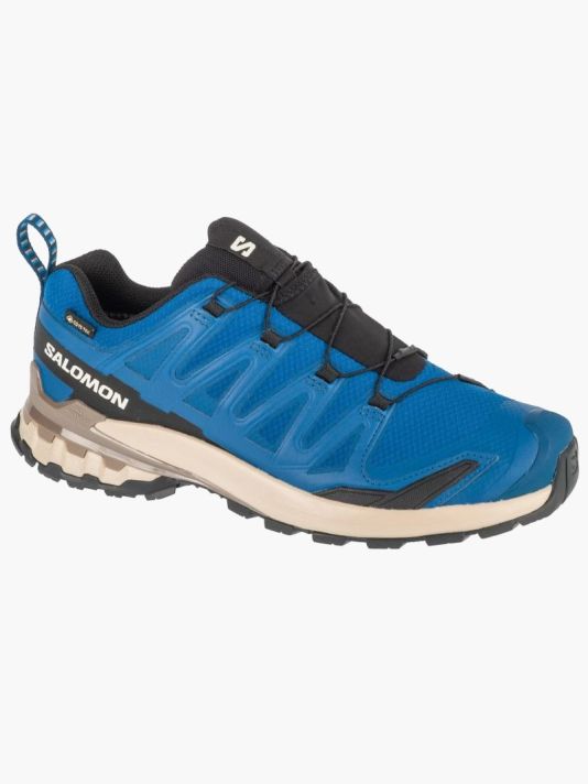Salomon XA Pro 3D v9 GTX M L47817200 Running Shoes