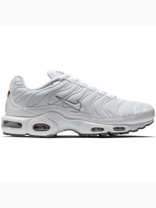 Nike Air Max Plus M 604133-139 Shoes