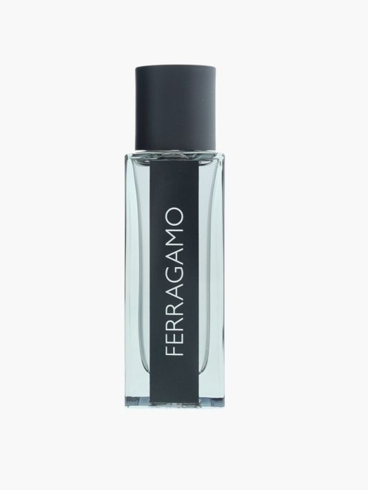 Salvatore Ferragamo, Ferragamo Travel, Eau De Toilette, For Men
