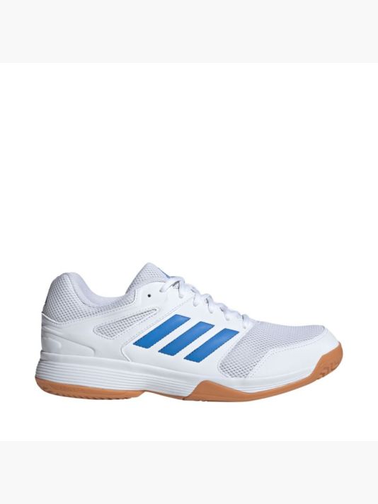 Meeste valge jalatsid Adidas Speedcourt Indoor KJ3681