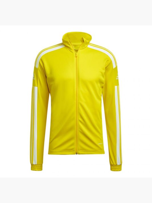 Adidas Squadra 21 Training M GP6465 sweatshirt