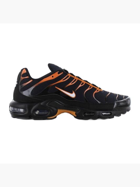 Meeste oranž jalatsid Nike Air Max Plus Sports - FN6949-400