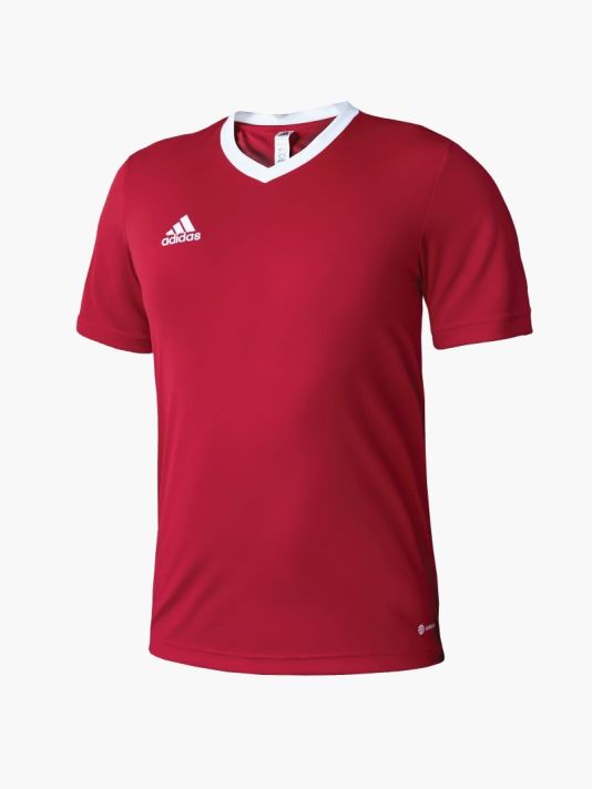 Adidas Entrada 22 M T-shirt H61736