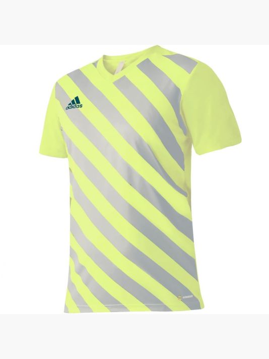 adidas Entrada 22 Graphic Jersey M HF0118