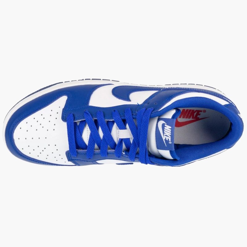Nike Dunk Low Retro M DV0833-103 shoes