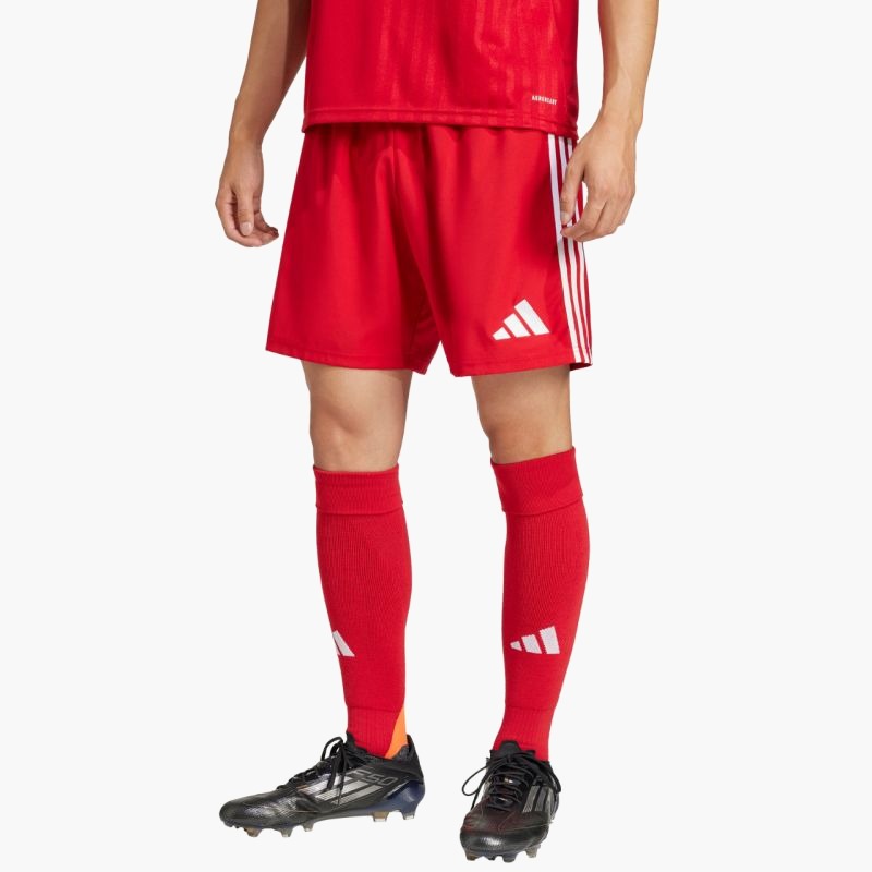 adidas Tastigo 25 M JN7157 shorts