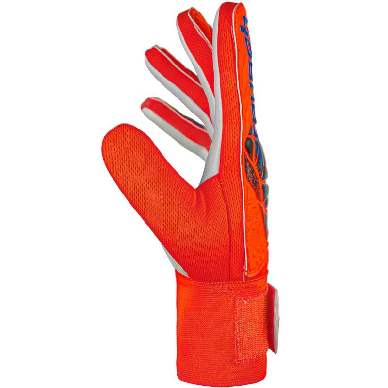 nanito_source_url:https://b2bsportswholesale.net/public/storage/productimages/3f/06/ba/a0/1374328/image/xlarge_clean.jpg