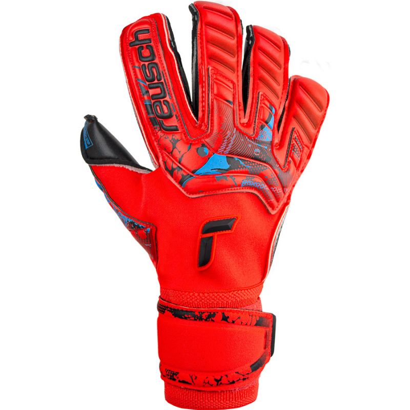 nanito_source_url:https://b2bsportswholesale.net/public/storage/productimages/f6/fe/20/68/1230499/image/xlarge_clean.jpg