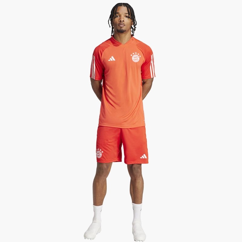 adidas FC Bayern Training T-shirt JSY M IQ0608