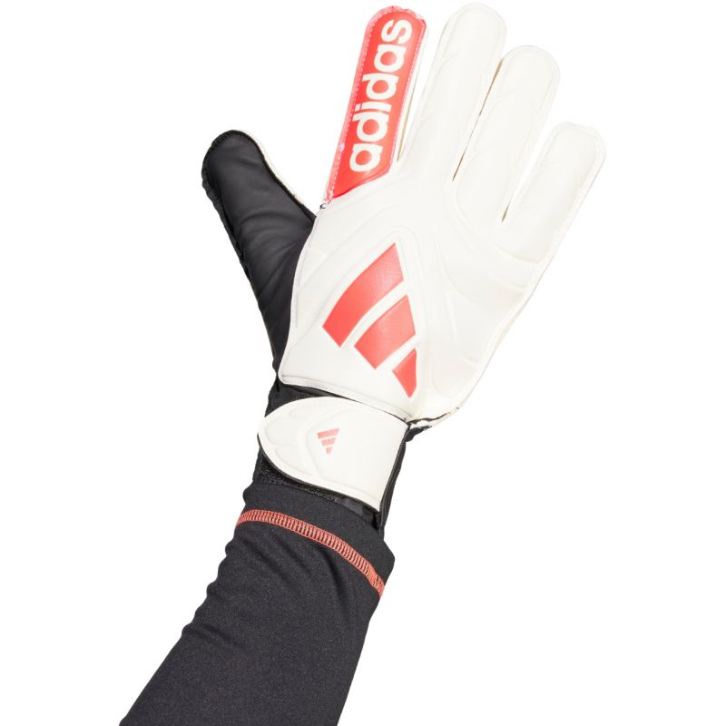 adidas Copa Club Goalkeeper M JH3789 goalkeeper gloves