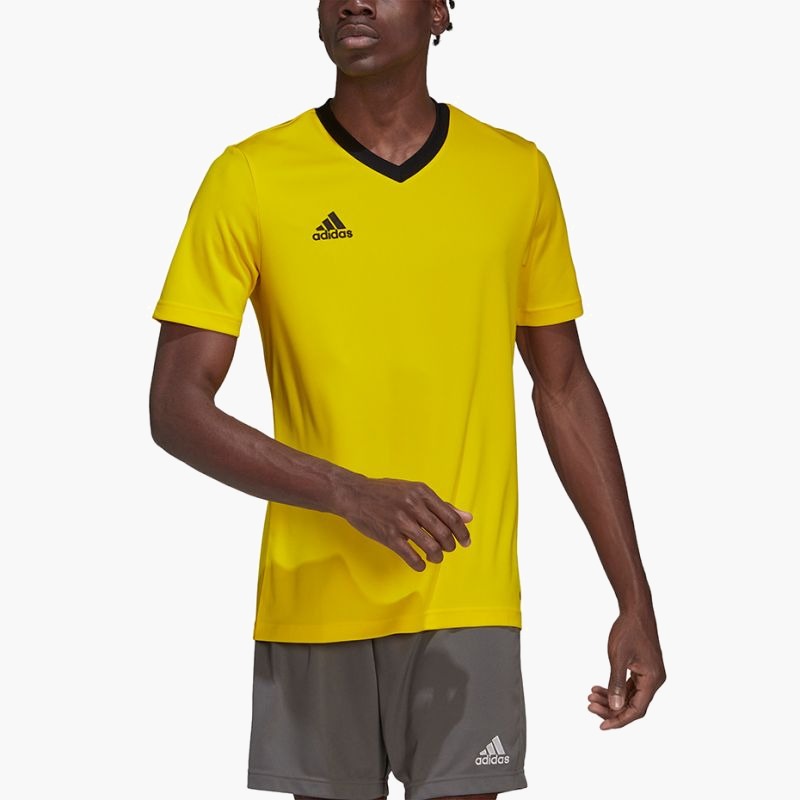 nanito_source_url:https://b2bsportswholesale.net/public/storage/productimages/38/60/2b/b2/1415031/image/xlarge_clean.jpg