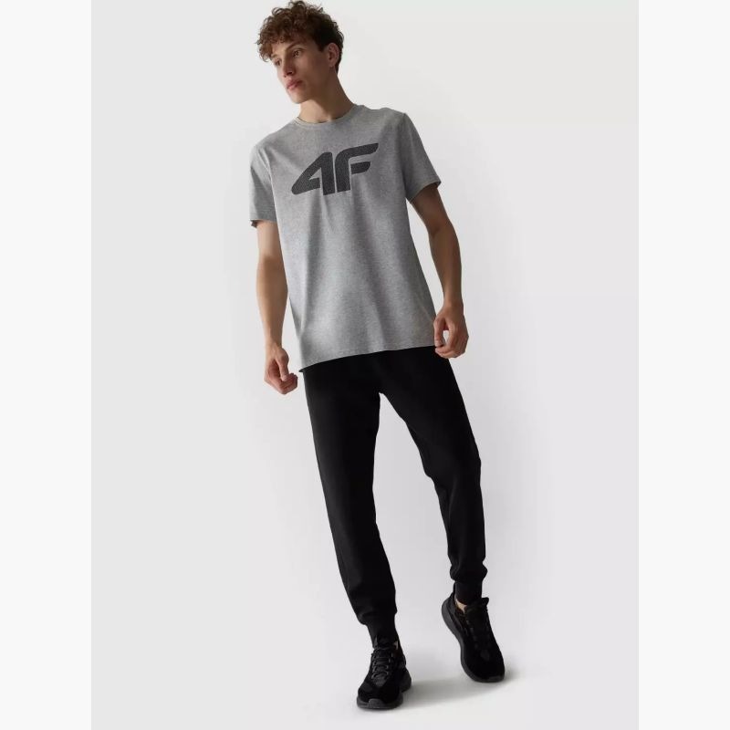 T-shirt 4F M 4FAW23TTSHM0877-27M