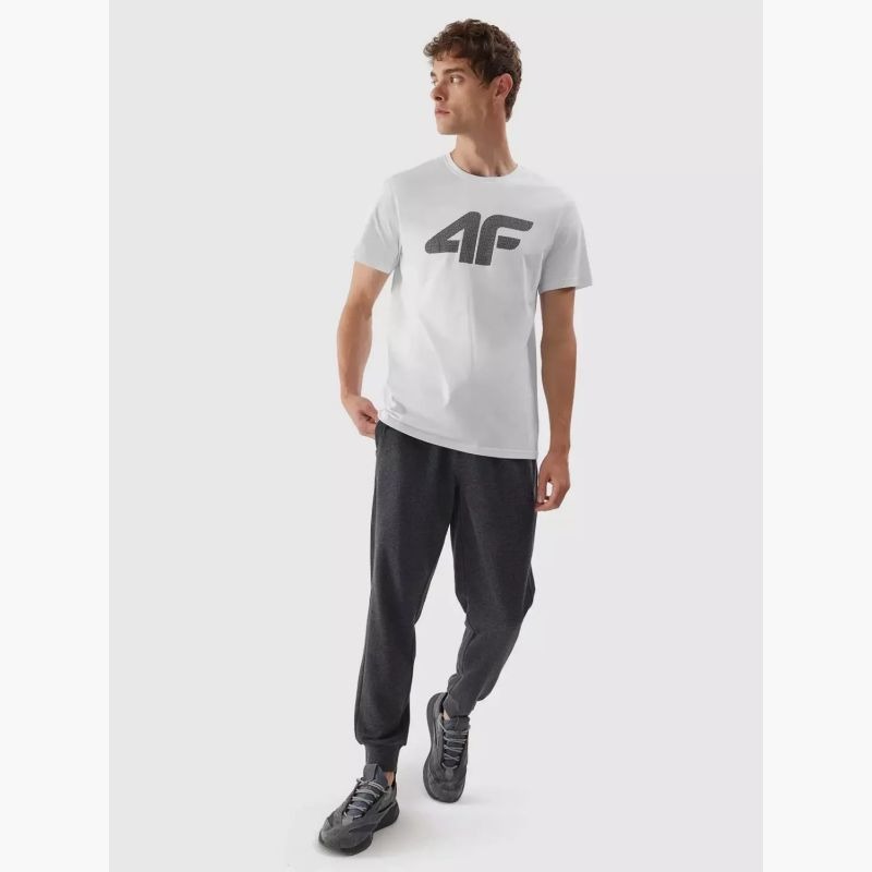 T-shirt 4F M 4FAW23TTSHM0877-10S