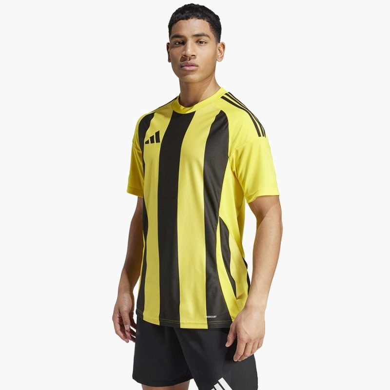 Adidas Striped 24 JSY M T-shirt IW2146