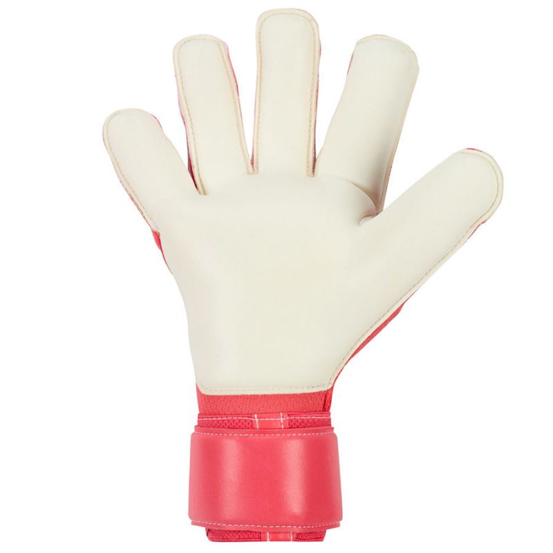 nanito_source_url:https://b2bsportswholesale.net/public/storage/productimages/fd/3e/c7/22/1351969/image/xlarge_clean.jpg