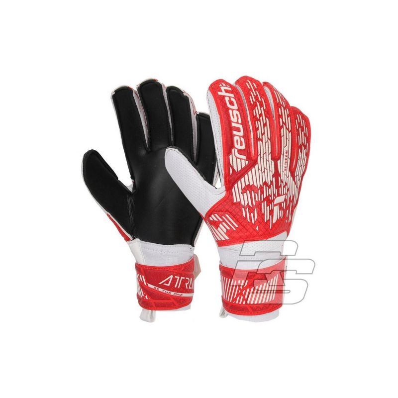 nanito_source_url:https://b2bsportswholesale.net/public/storage/productimages/d5/6e/7c/b9/1094321/image/xlarge_clean.jpg